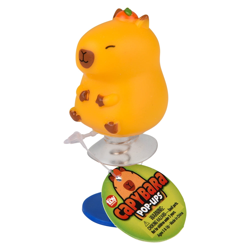 Capybara Pop-Ups (1 DSP)