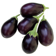 Small Eggplant