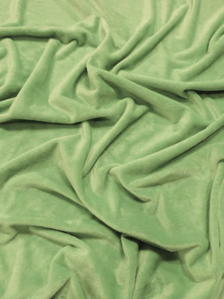 Asparagus Minky Solid Baby Soft Fabric
