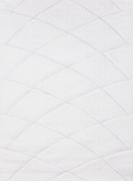 SR-722 Polyester Fabric - White/Black 3D Lines, Shag Area Rug, 2" Pile Height (1 Piece)
