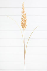 38" Golden Field Grass Stalk