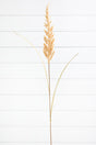 38" Golden Field Grass Stalk