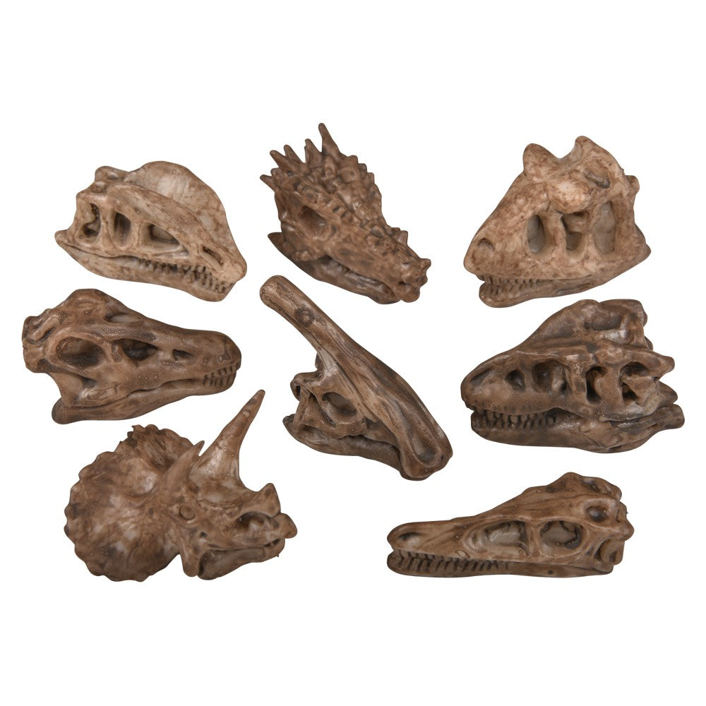 Dinosaur Fossil Pencil Top (1 DZ)