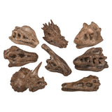 Dinosaur Fossil Pencil Top (1 DZ)
