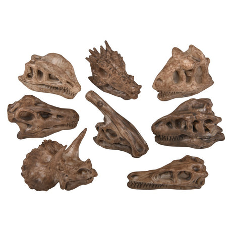Dinosaur Fossil Pencil Top (1 DZ)