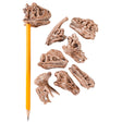Dinosaur Fossil Pencil Top (1 DZ)