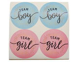 2" Pink and Blue Team Boy/Girl Gender Reveal Party Stickers - Pack of 48 Stickers
