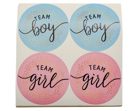 2" Pink and Blue Team Boy/Girl Gender Reveal Party Stickers - Pack of 48 Stickers