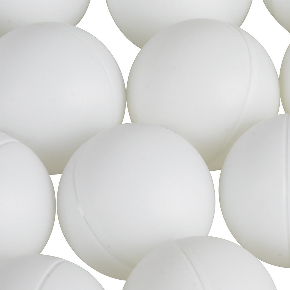 Plastic Table Tennis Ball (1 DZ)