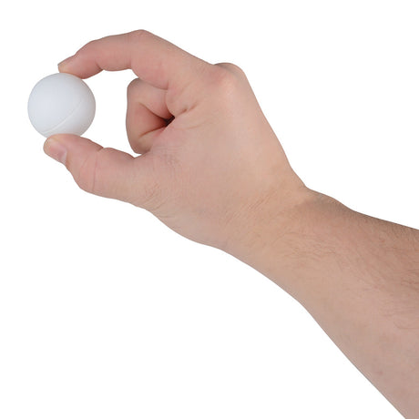 Plastic Table Tennis Ball (1 DZ)