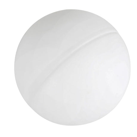 Plastic Table Tennis Ball (1 DZ)