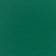 Standard Upholstery Canvas by Sunbrella - Forest Green