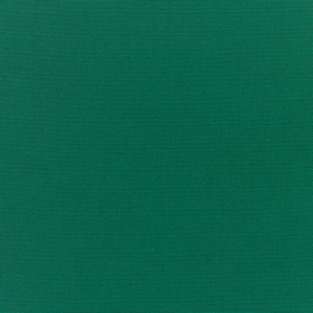 Standard Upholstery Canvas by Sunbrella - Forest Green