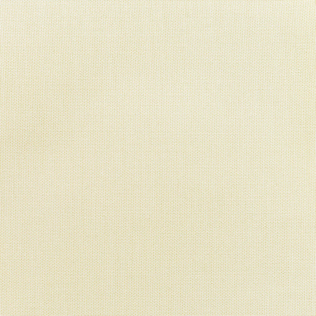 Standard Upholstery Canvas by Sunbrella - Birds Eye