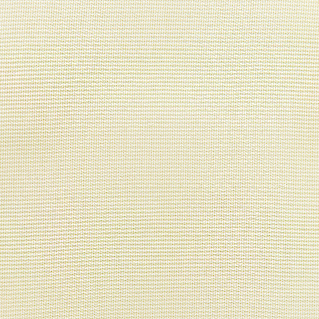 Standard Upholstery Canvas by Sunbrella - Birds Eye