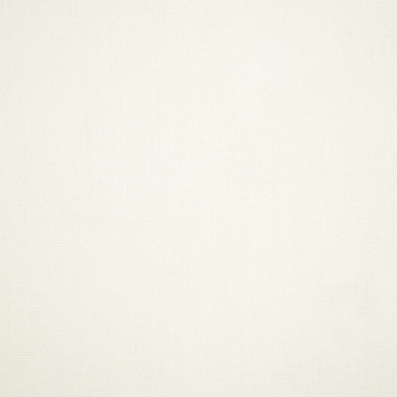 Standard Upholstery Canvas by Sunbrella - White