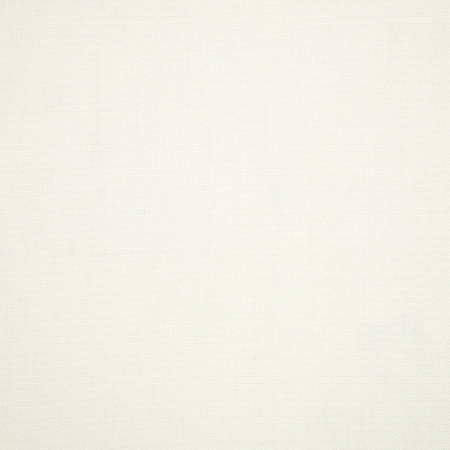 Standard Upholstery Canvas by Sunbrella - White