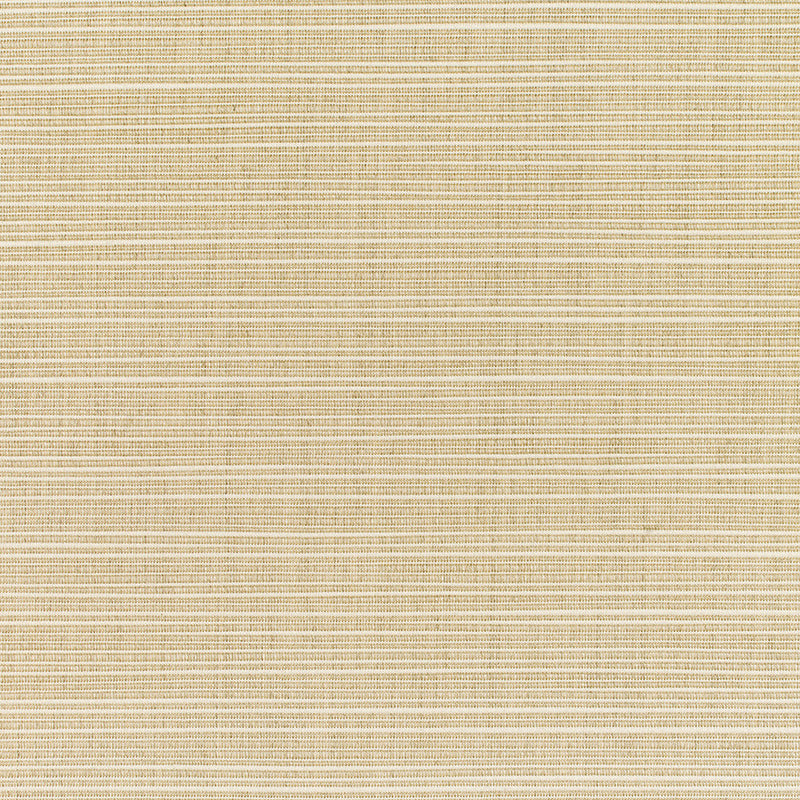 Upholstery Dupioni by Sunbrella - Sand