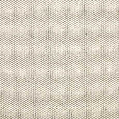 Blend Upholstery Canvas by Sunbrella - Linen