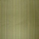 Suruchi Silk Fabric - Multicolored Stripe, 54" Width (1 Yard)