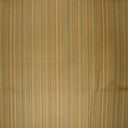 Suruchi Silk Fabric - Multicolored Stripe, 54" Width (1 Yard)