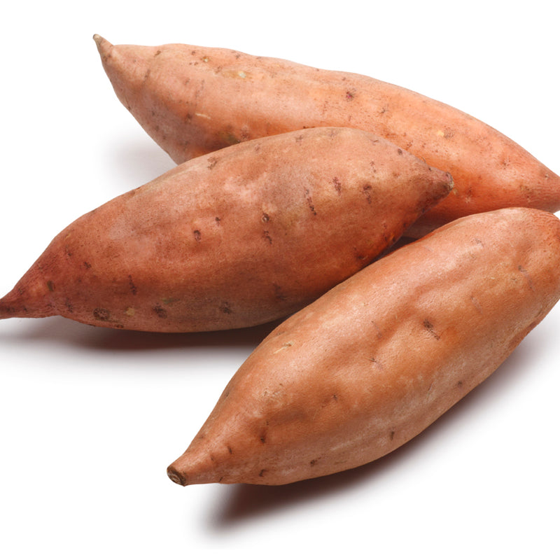 Sweet Potato