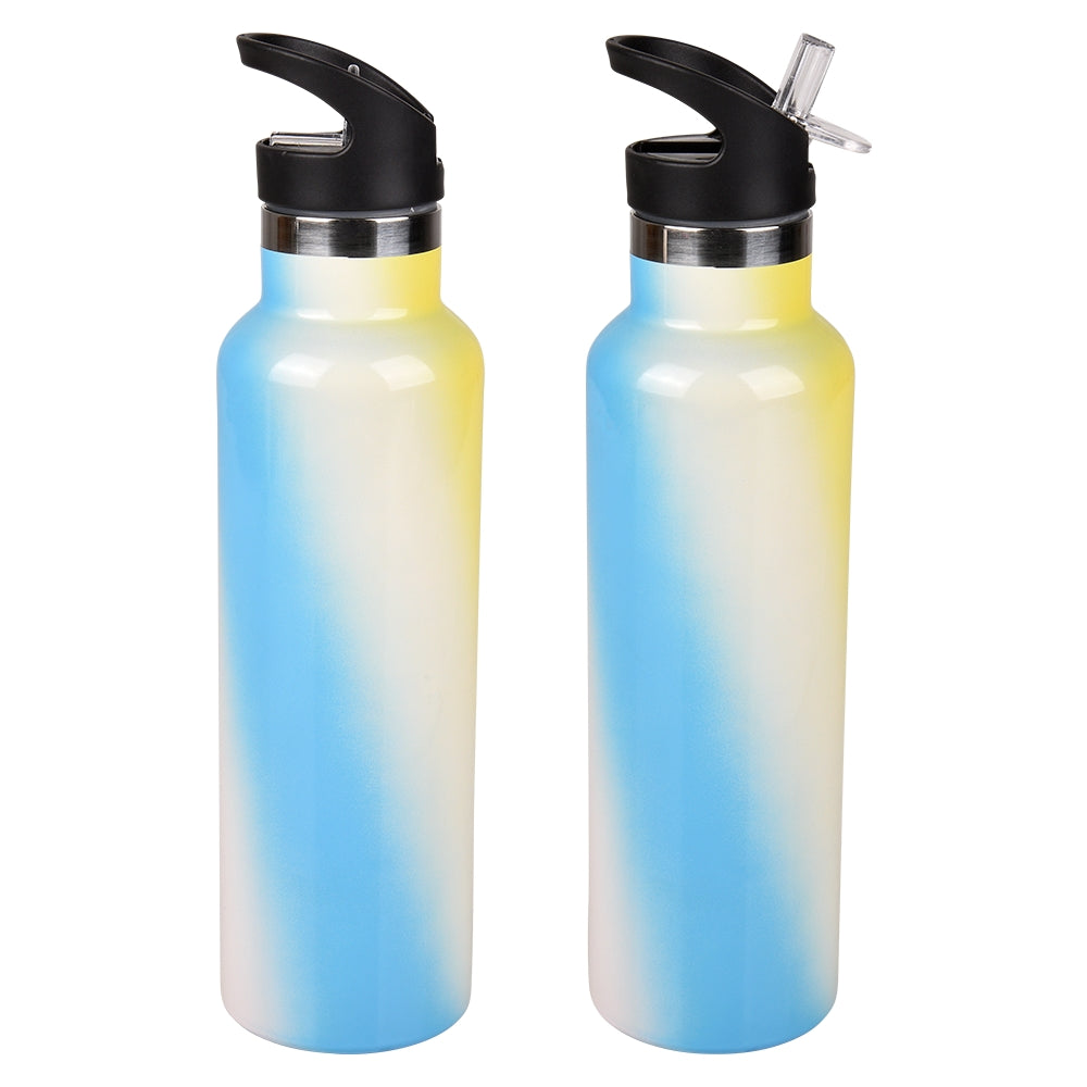 Double Wall Stainless Steel Sports Bottle With Straw 20 Oz