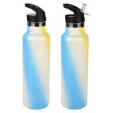 Double Wall Stainless Steel Sports Bottle With Straw 20 Oz
