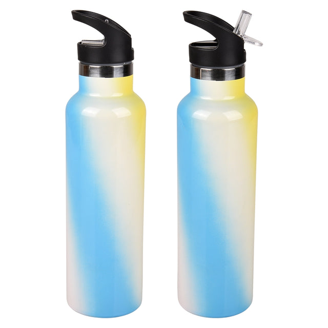 Double Wall Stainless Steel Sports Bottle With Straw 20 Oz