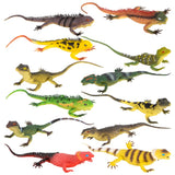 Rainforest Squeaker Lizard (1 DZ Display)
