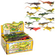 Rainforest Squeaker Lizard (1 DZ Display)
