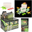 Glow In The Dark Dinosaur Dig Set 7" (6 Asst.)