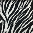 Velvet Fabric Safari Baby Zebra Short Pile