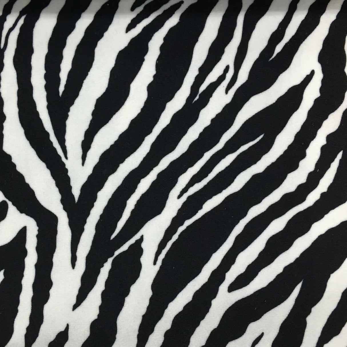 Velvet Fabric Safari Baby Zebra Short Pile