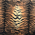 Safari Printed Stretch Velvet Fabric - Tiger, Zebra, Baby Leopard, Leopard, 52" Width (1 Yard)