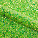 Sanibel Seashell Polyester Velvet Sequin Fabric - Seashell Sequin, 49" Width, 365 GSM (1 Yard)