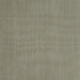 Organza Drapery Fabric Sarin 115" Width