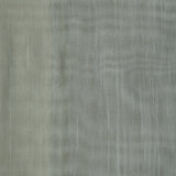 Organza Drapery Fabric Sarin 115" Width