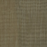 Organza Drapery Fabric Sarin 115" Width