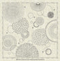 Sashiko Cloth Hanabi 12" x 12"