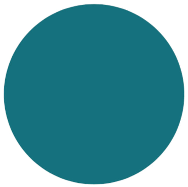 Prolite Vinyl Heat Transfer Vinyl - Aqua Marine, 20" H x 12" W (Foot), 20" H x 36" W (Yard), 20" H x 180" W (5 Yard), 20" H x 900" W (25 Yards)