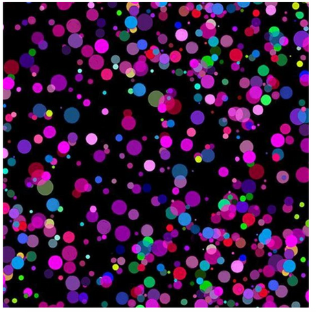 Cotton Fabric Electric Black Electric Dots 44/45"