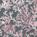 Burnout Velvet Upholstery Fabric Coral Pattern