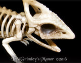 Bonez Lonely Lizard Skeleton