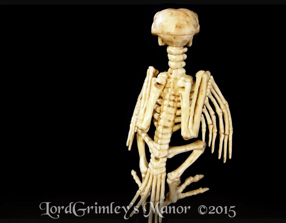 Bonez Skeleton Crow