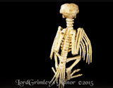 Bonez Skeleton Crow