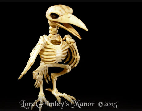 Bonez Skeleton Crow
