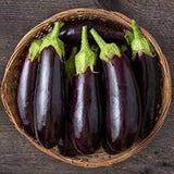 Millionaire Eggplant Seeds High Yield Japanese Eggplant Variety for Home Gardens