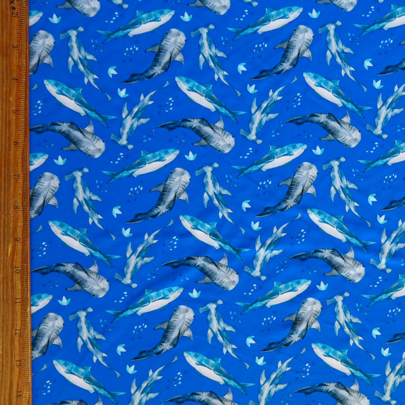 Swim Knit Nylon Spandex Sharks on Royal Blue