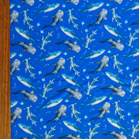 Swim Knit Nylon Spandex Sharks on Royal Blue